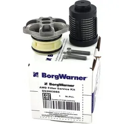 BorgWarner Hydraulikfilter Haldex-Kupplung DS2003085 - Kupplungshydraulik für Hinterachse, kompatibel mit VW und Audi Modellen, sorgt für optimale Leistung und Sicherheit Ihrer Haldex-Kupplung.