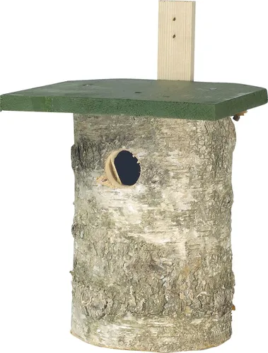 CJ Wildlife Nisthöhle aus Birkenholz, grün - 18x20x29,5 cm - Nistkästen aus hochwertigem Birkenholz, ideal für die Vogelbrut, bietet optimalen Schutz und eine natürliche Umgebung.