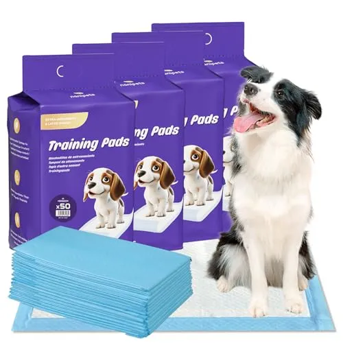 Nanipets® Trainingspad für Hunde – Superabsorbierende Welpenunterlagen, 45 x 60 cm, 200 Stück - Unsere extra großen Trainingspads bieten ein 6-lagiges Design für hohe Saugfähigkeit und auslaufsicheren Schutz. Ideal für die Pflege von Hunden und zur einfachen Reinigung von Böden.
