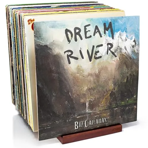 MÖNKE Schallplattenständer - Ein Plattenhalter im minimalistischen Design - 50 LP Kapazität - mit einer vorderen Display-Rille (Braun)