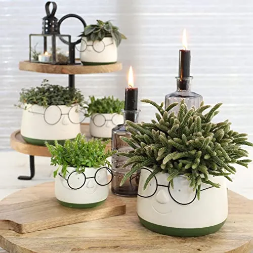 Annastore Blumenübertöpfe aus Keramik in witzigem Design - Blumentöpfe - Übertöpfe aus Keramik - Lustige Blumentöpfe - Übertöpfe für Zimmerpflanzen Keramik Größe H 9 cm - Ø 12 cm