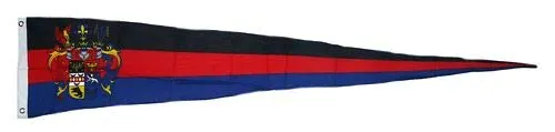 Langwimpel Ostfriesland 30 x 150 cm Fahne Flagge