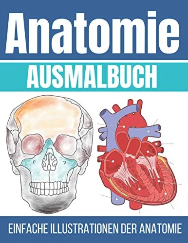 Produktbild Anatomie Ausmalbuch: Einfache Illustrationen der Anatomie