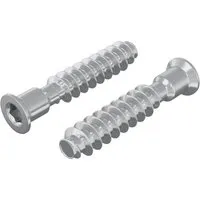 vidaXL Kopfschraube 2 Stk Silber M7 x 40 mm Stahl 864379