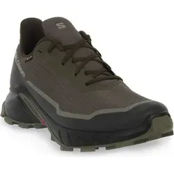 Salomon Alphacross 5 Gore-Tex Herren Trail-Laufschuhe in braun von Salomon