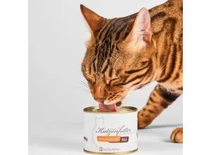 Lucky-Kitty Katzenfutter Wild 15x200 g