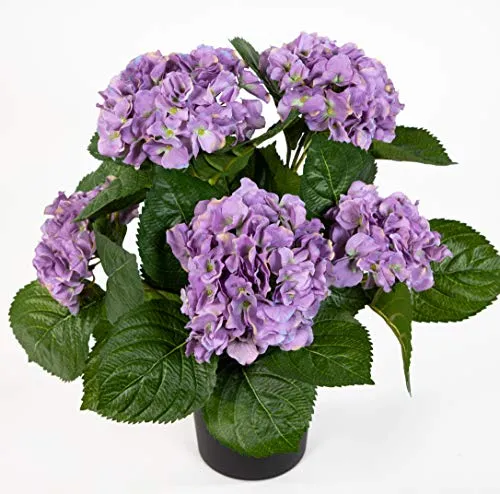 Hortensienbusch Deluxe 42cm lila im Topf - Seiden- & Kunstblumen, naturgetreuer Hortensienbusch mit 5 großen Blütenköpfen, ideal für eine pflegeleichte und langlebige Dekoration.
