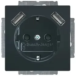 Busch-Jaeger 20 EUCB2USB-81 SCHUKO®-2x USB-Steckdose
