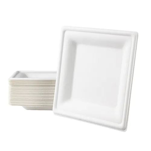 Einwegteller 50 Stück - Einweg Teller Eckig 20 cm aus Zuckerrohr - Einweggesc...