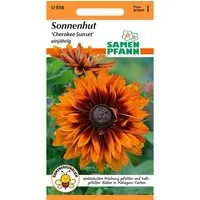 SAMEN PFANN Sonnenhut Cherokee Sunset