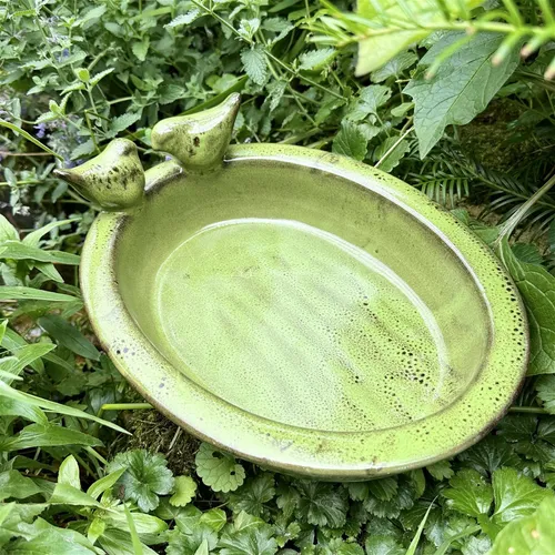 Vogeltränke, Vogelbad - Oval - Grün, Wasserschale als Vogelbecken