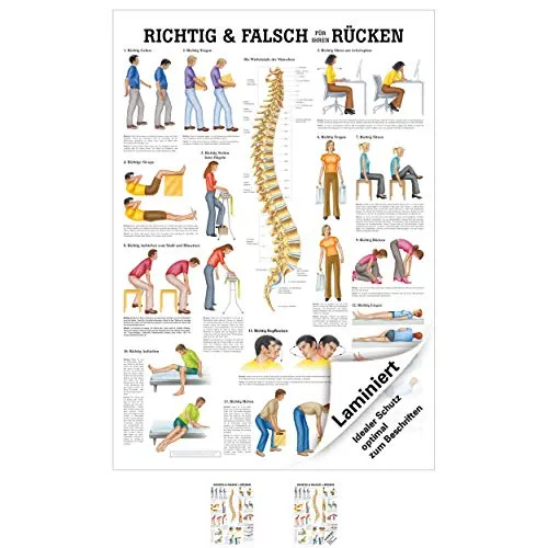 Sport-Tec Richtig u. falsch für Ihren Rücken Mini-Poster Anatomie 34x24 cm med. Lehrmittel