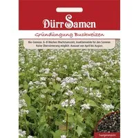 Produktbild Dürr Samen Gründüngung Buchweizen 50 G Saatgut