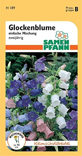 Samen Pfann H189 Glockenblume einfache Mischung (Glockenblumensamen)