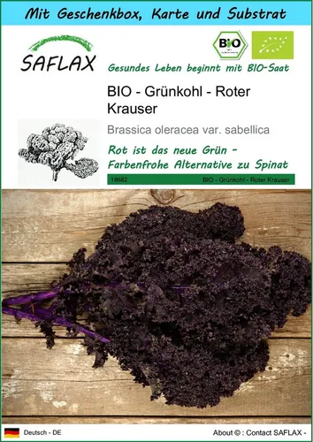 SAFLAX Gemüsesamen SAFLAX - Geschenkset - BIO - Grünkohl - Roter Krauser