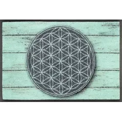 wash+dry by Kleen-Tex Fußmatte Pattern of Life - 40 x 60 cm - Fußmatte mit kreativem Design, maschinenwaschbar bei 60 °C und rutschfest. Ideal für Innenräume und überdachte Außenbereiche.