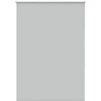 vidaXL Verdunkelungsrollo Hellgrau 110x175cm - Rollos für Licht- und Sichtschutz, aus langlebigem 100% Polyester, einfach zu montieren und pflegeleicht, ideal für Wohnräume und Büros.
