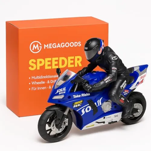 RC Motorrad Ducati Panigale V4 S 1/6 Elektro Rennbike