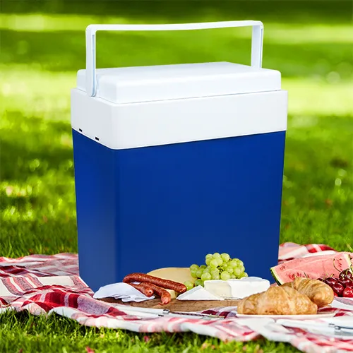 Profigarden Kühlbox 30 l in Blau
