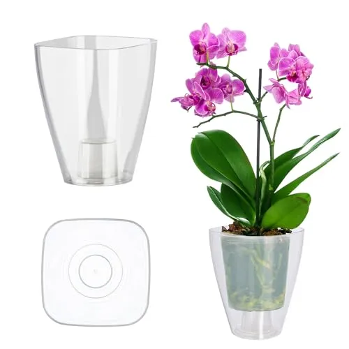 KADAX Blumentopf, schlanker Orchideentopf, Schlichter Pflanzkübel, Blumenkübel für Orchidee, Knabenkraut, Gänseblümchen, Übertopf für Küche und Wohnzimmer (⌀ 12cm, eckig, Transparent)