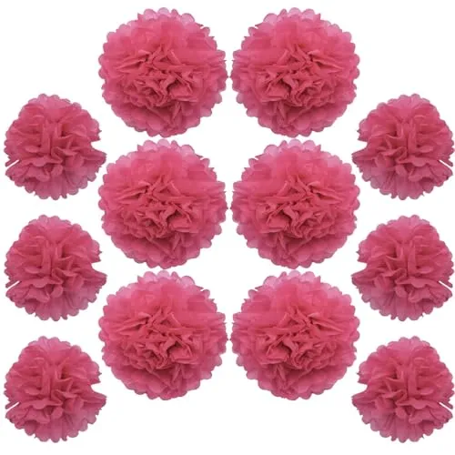 Ruidee 12 Stück Seidenpapier Pompoms 10in and 12in Papier Blumen Ball Dekorpapier Kit Papierblumen Pom Poms für Hochzeit,Geburtstage,Party Dekorationen (ZH/Rose)
