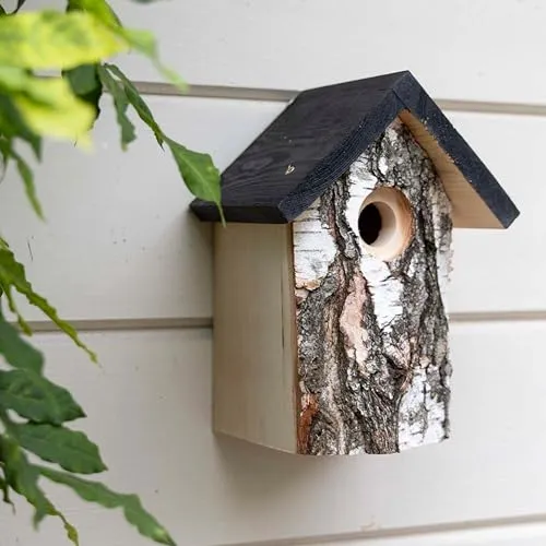 CJ Wildlife Nistkasten – Nistkasten für Vögel für draußen wetterfest – Aus Birkenholz mit natürlicher Rinde – Für Kohlmeise, Kleiber und Feldsperling – Gartenvogel Brutkasten