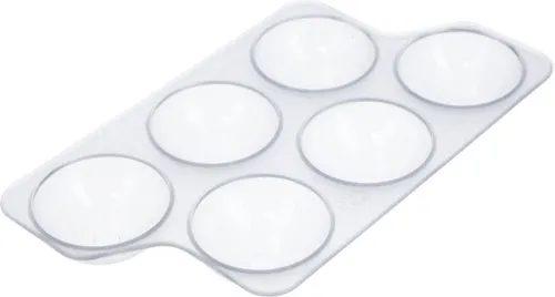 Electrolux AEG 2231024288 Eiereinsatz Eierfach Einsatz Fach für Kühlschranktüre Kühlschrank auch Zanker Zanussi