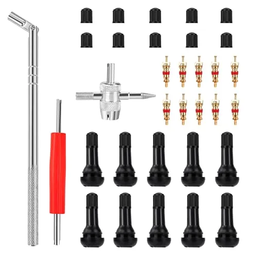 Reifenventilentferner 43 Stück, Reifenventil Kern Werkzeug Set mit TR 413 Ventileinsatz, Reifen Ventilschaft Einziehwerkzeug, für Auto Motorrad Reparatur