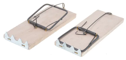 Aqbau® 2 x Rattenfalle Schlagfalle aus Buchenholz Köderfalle