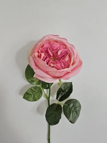 artplants Kunstrose GINAKAL, rosa, 65cm