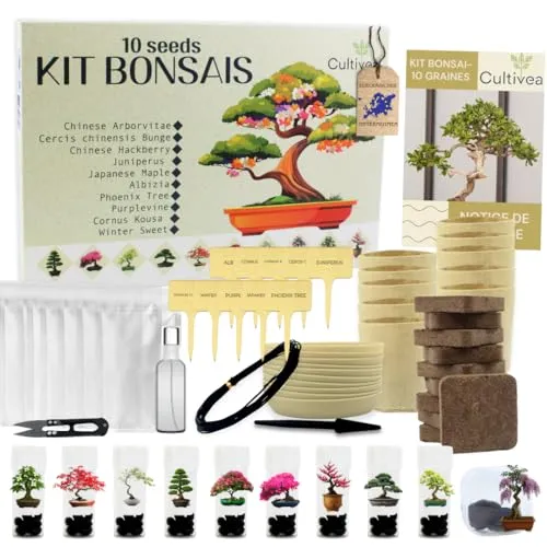 CULTIVEA® Bonsai Anzuchtset – 10 Bäume zum Selbst Anpflanzen – Komplettes Bonsai Starter Kit