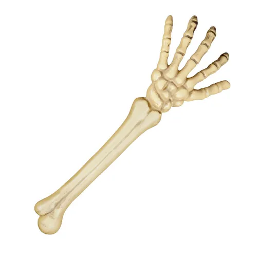 Boland 74556 - Skelett Arm 46 cm, perfekte Halloween-Dekoration für unvergessliche Mottopartys