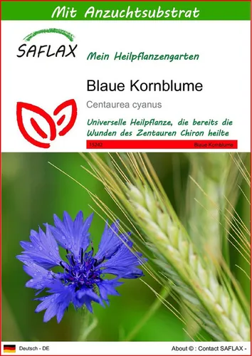 SAFLAX Blumensamen SAFLAX - Samen und Substrat - Blaue Kornblume