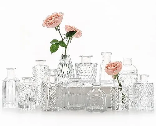 SUPMIND 12-teiliges Glasvasen-Set, kleine transparente Blumenvasen für Tafelaufsätze, Mini-Vintage-Vase für Hochzeit, Zuhause, Tischdekoration