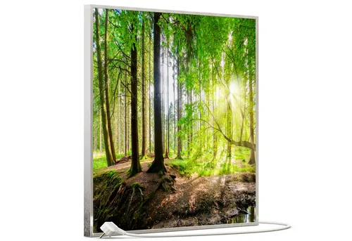 STEINFELD Heizsysteme Infrarotheizung, Bild, 350W 60x60cm, Inklusive Thermostat, viele Motive