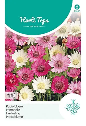 Hortitops 14850 Papierblume Mischung (Blumensamen)