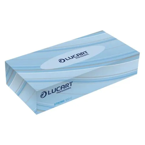 Eco Natural 100V Kosmetiktücher – 2-lagig, 4000 Stück
