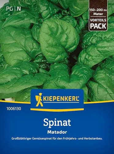 Kiepenkerl Spinatsamen Matador 1006130 - Robuste Gemüsesamen für Frühjahrs- & Herbstanbau, schnelles Wachstum, großblättrige Spinatsaat für Gärten