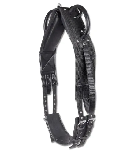 WALDHAUSEN Longier- und Voltigiergurt, Synthetik - Sonstige, idealer Trainingsgurt aus Synthetik mit stabilen Handgriffen, Mittelriemen und 3 Ringen für Ausbinder – perfekt zum Voltigieren und Longieren.