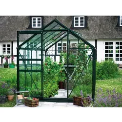 Halls Gewächshaus Popular 66 Grün 3,8 m² von Juliana