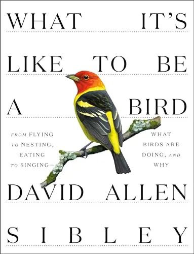 What It's Like to Be a Bird: Sibley Guide von Knopf
