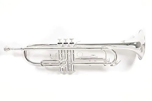 Roy Benson Bb-Trompete TR-202S (Langlebige Messingkonstruktion, mit leichtem Rechtecketui, Rucksackgarnitur, erstklassige Edelstahl Ventile, für professionelle Musiker), versilbert