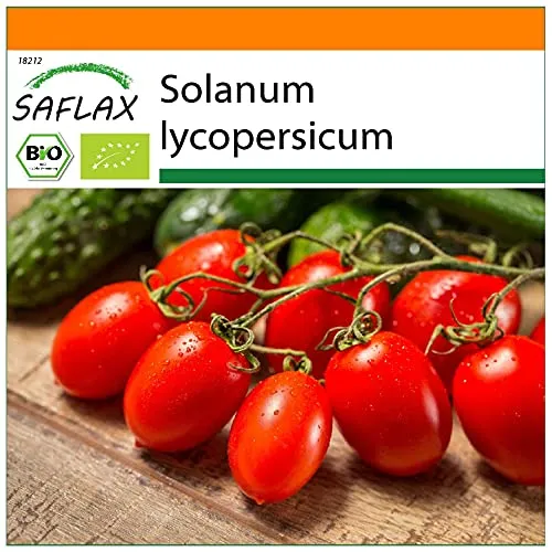 SAFLAX - Garden in the Bag - BIO - Tomate - Roma - 15 Samen - Mit Anzuchtsubstrat im praktischen, selbst aufstellenden Beutel - Solanum lycopersicum