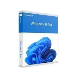 Microsoft Windows 11 Pro DVD DSP/SB