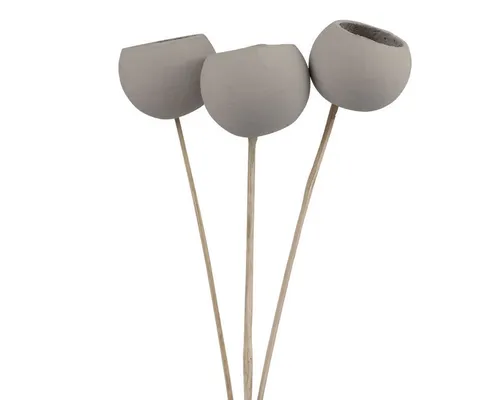 Trockenblume Trockenblumen Dekoration Bell Cups für Floristik und, 3 Stück, Viana, Höhe 5 cm