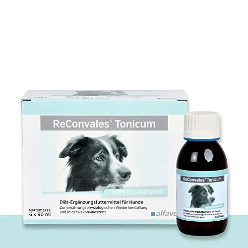 alfavet ReConvales Tonicum Hund von alfavet