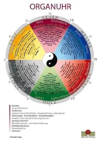 Produktbild Organuhr Schaubild DIN A3