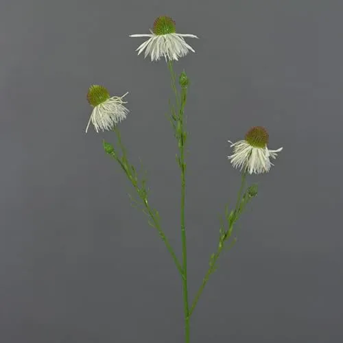 artplants.de Künstlicher Sonnenhut Celio, Creme, 60cm, Ø6cm - Scheinsonnenhüte künstlich