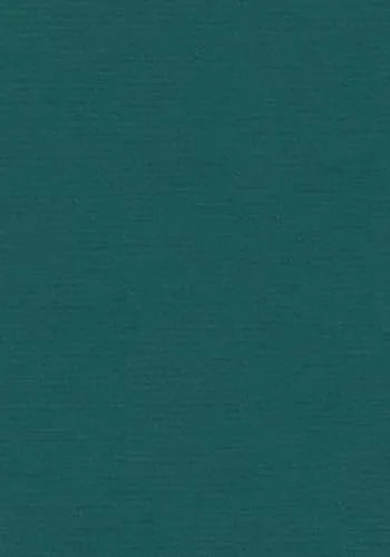 Sharks, Skates, and Rays: The Biology of Elasmobranch Fishes