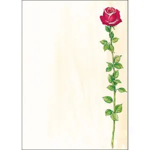 Sigel Briefpapier DP695, Rose Bloom, A4, 90 g/m², 25 Blatt